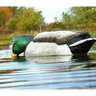 Avian X Back Water Mallards Duck Decoys