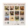 Bela Baliko 12 x 12 Magnificent Moose 2018 Calendar