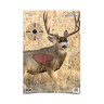 Birchwood Casey Pregame Mule Deer Target - 3 Pack