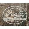 Bradley 4 Rack Realtree® Smoker