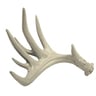 Browning Antler Chew Toy