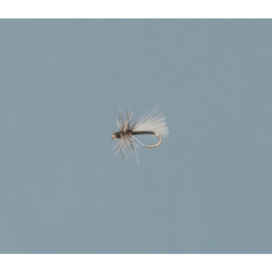 CDC Adult Midge Fly (dozen)