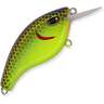 Chartreuse Brown Back