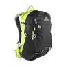 Gregory Mountain Salvo 28 Backpack - Black/Macaw Green