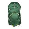 Gregory Wander 70 Youth Backpack - 2016 Model - Platoon Green