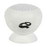 Hoffco Bluetooth Speaker with Suction Cup