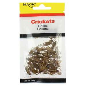 Magic Crickets Preserved Bait - 1/5oz