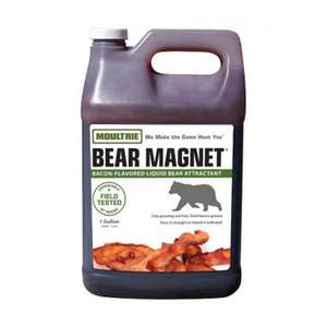 Moultrie Bear Magnet Savory Bacon Scent