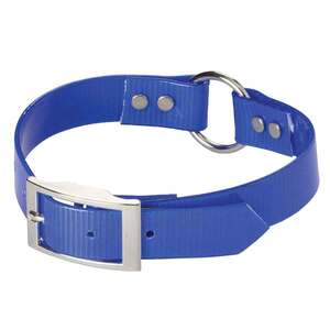 Nite Lite Day-Glo Dog Collars - Blue