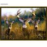 Outdoor Themed Printed Rugs - 18 in. x 26 in.