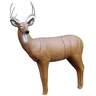 RealWild Big Buck Deer with EZ Pull Foam 3D Target - Brown