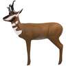RealWild Pronghorn Antelope 3D Target - Brown