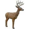 Rinehart Jimmy Big Tine Deer 3D Foam Archery Target - Brown
