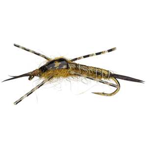RoundRocks Golden Stone Nymph Fly - Size 8, 12Pk