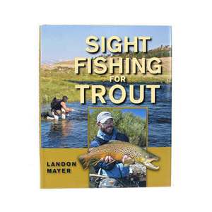 Sight Fishing For Trout