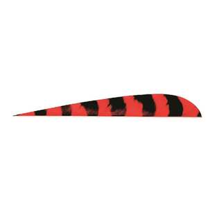 Trueflight Parabolic 4in Barred Red Feathers - 100 Pack