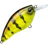 Pristm Chartreuse Perch