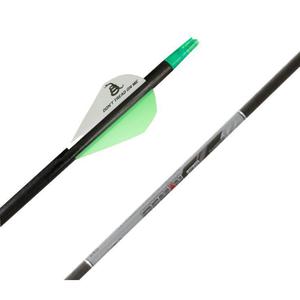 Beman ICS Hunter Classic Arrows