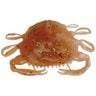 Berkley Gulp! Peeler Crab Saltwater Soft Bait