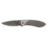 Buck Knives Nobleman 2.63 inch Folding Knife - Gray