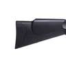 Crosman Benjamin Prowler 22 Caliber Black Air Rifle - Black