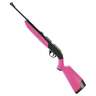 Crosman Pumpmaster 760 177 Caliber Pink Air Rifle - Pink