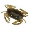 Crab-Golden Shiner