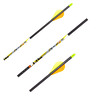 FeraDyne D-Stroyer SD 400 spine Carbon Arrows - 6 Pack - Black