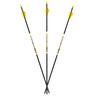 FeraDyne D-Stroyer SD 400 spine Carbon Arrows - 6 Pack - Black