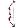 Genesis Genesis 10-20lbs Right Hand Red Youth Bow - Red
