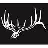 Hunters Images Low Profile Elk Skull - Large - White