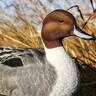 Heyday FlexFloat Pintail Decoys - 6 Pack
