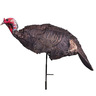 Montana Decoy Jake Purr-Fect 3D Turkey Decoy