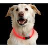 Nite Ize NiteHowl LED Safety Necklace for Dogs