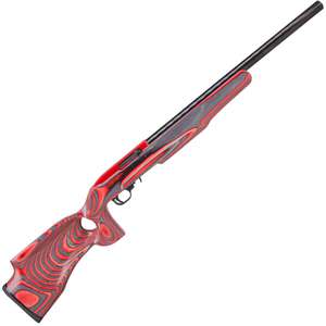 Ruger 10/22 Target Semi-Auto Rifle