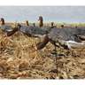 White Rock Decoys Specklebelly Goose Decoys - 12 Pack